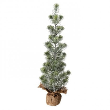 Mini White Spruce Seedling Tree 25" - 2 Options