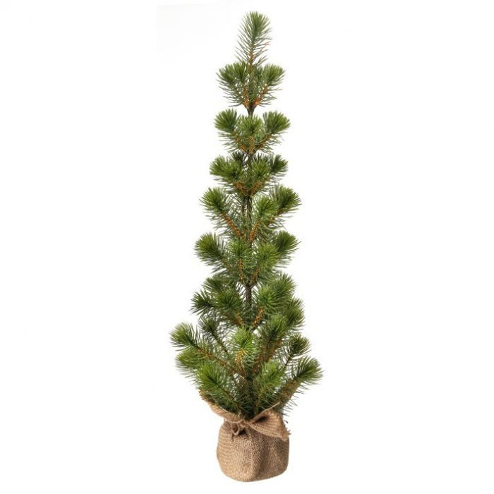 Mini White Spruce Seedling Tree 25" - 2 Options