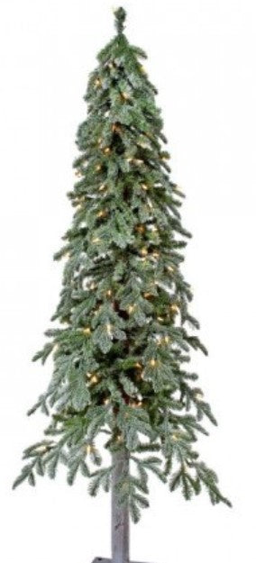 Pine tree with lights on a white background