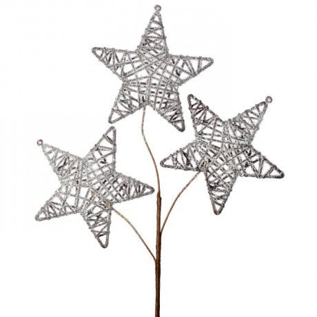 Frosted Triple Twig Star Spray