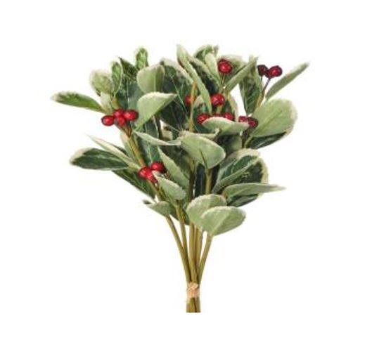 Christmas Greens With Berries Bundle