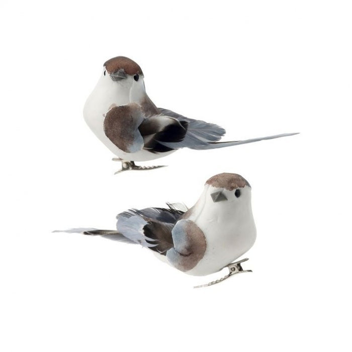 Feather Songbird Clip -Set of 2