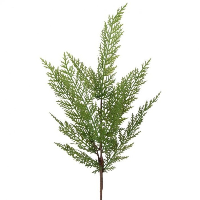 Lebanon Cedar Spray