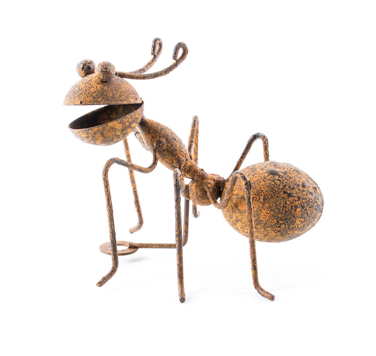 Garden Ants - 3 Sizes