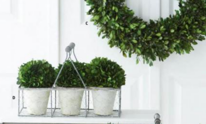 Wire Basket w/ 3 Preserved Boxwood Balls on Pots