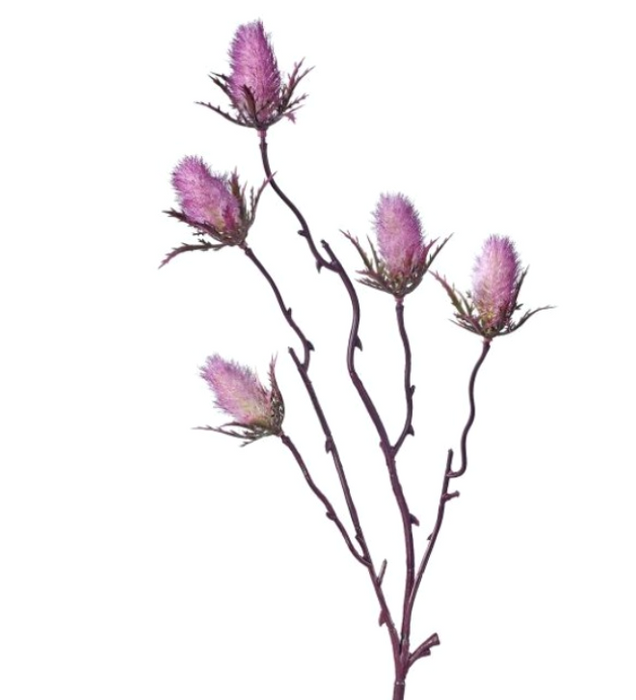 Meadow Thistle Spray - 2 Colors