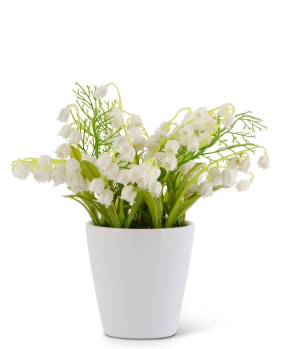 Lily Of The Valley In White Ceramic Pot
