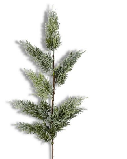 Frosted Juniper Stem