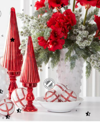 Frosted Juniper Stem