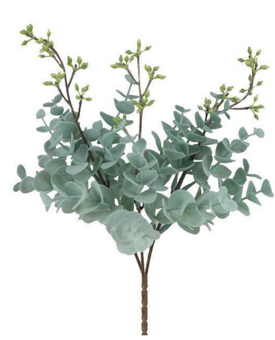 Mini Eucalyptus Bush