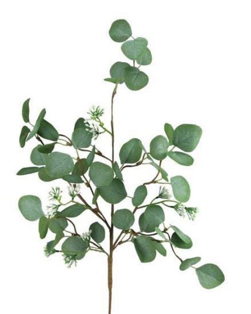 Eucalyptus Seed Berry Spray