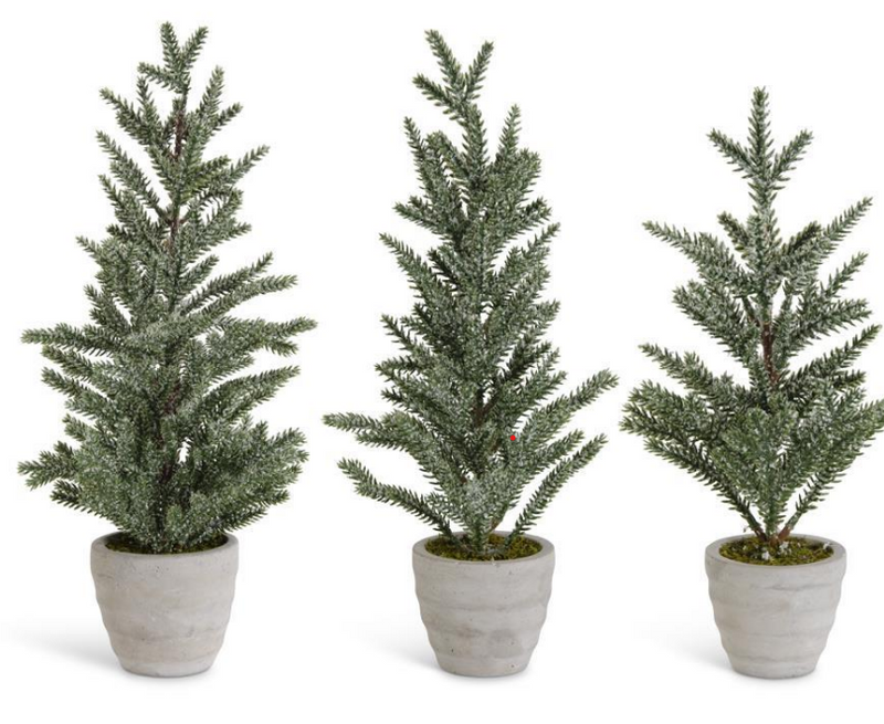 Snowy Pine Trees in Gray Pots -3 Sizes