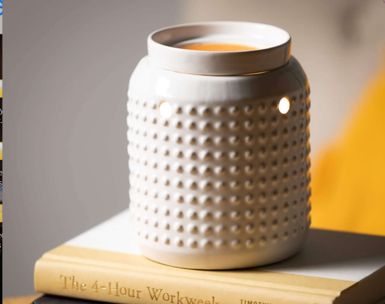 NOVELLE WAX WARMER