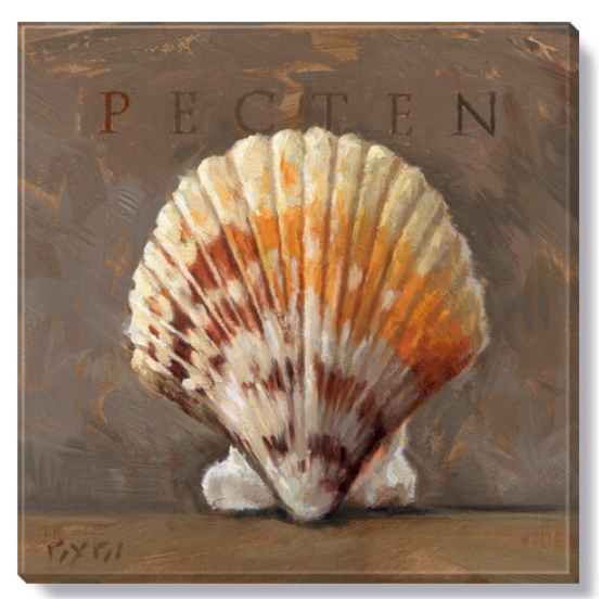 PECTEN GICLEE WALL ART