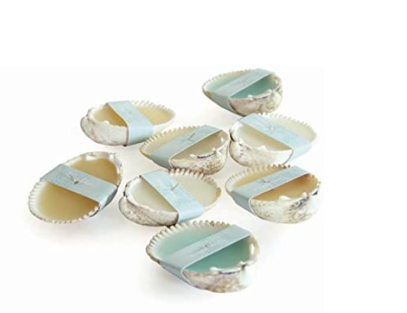 Sea Shell Candles set of 12 by Vance Kitira