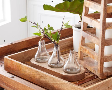 Bud Vases on Wood Tray