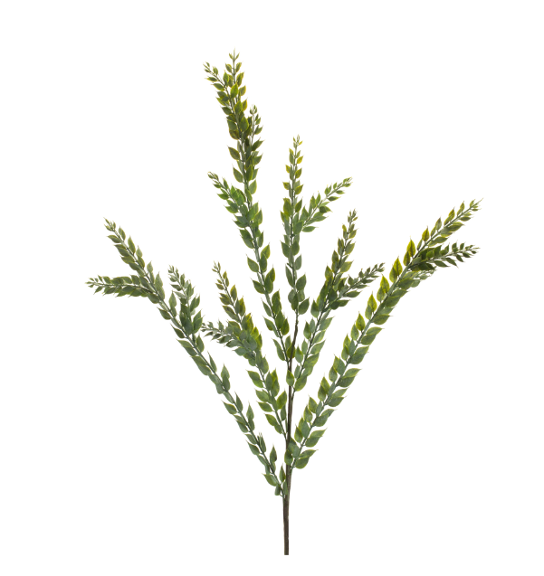 Knife Blade Eucalyptus Spray 40"H