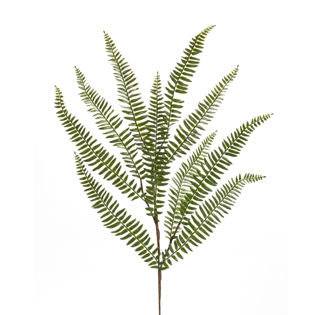 FERN SPRAY 35”H