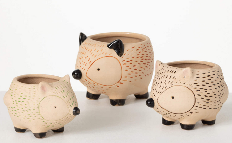 HEDGEHOG PLANTER SET - 4 Options