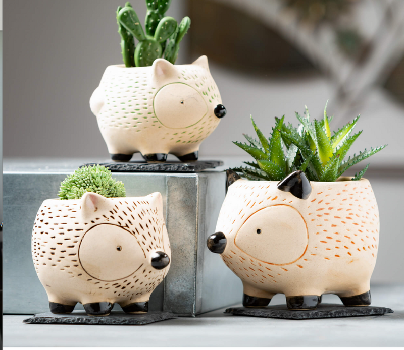 HEDGEHOG PLANTER SET - 4 Options