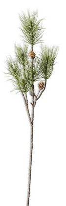 Long Needle Pine Stem with Pinecones