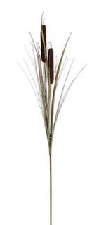 Dark Brown Double Cattail Stem - 42"