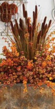 Dark Brown Double Cattail Stem - 42"