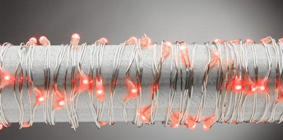 10ft Red LED String Electric - Silver Wire