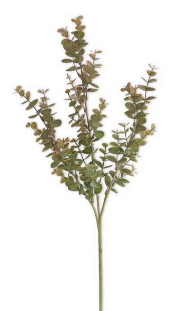 Green & Gold Eucalyptus Stems