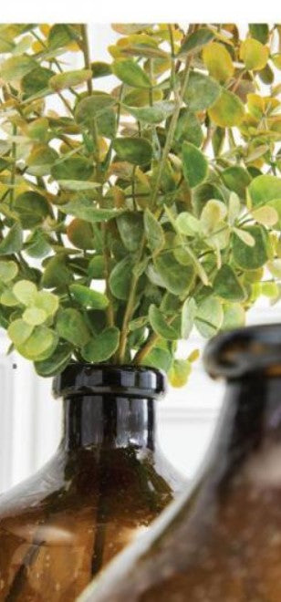 Green & Gold Eucalyptus Stems