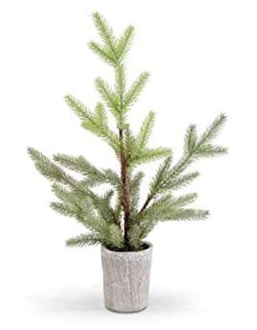 Fir Pine in Gray Pot -20.5"H