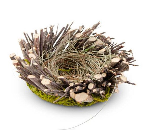 Twig and Moss Bird Nest