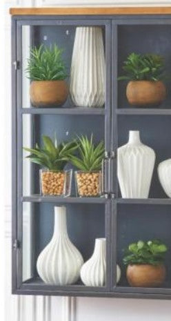 Agave in Square Glass Vases w/Pebbles - 2 Styles