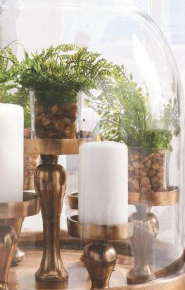 Ferns In Square Glass Vase w/Pebbles- 3 Styles