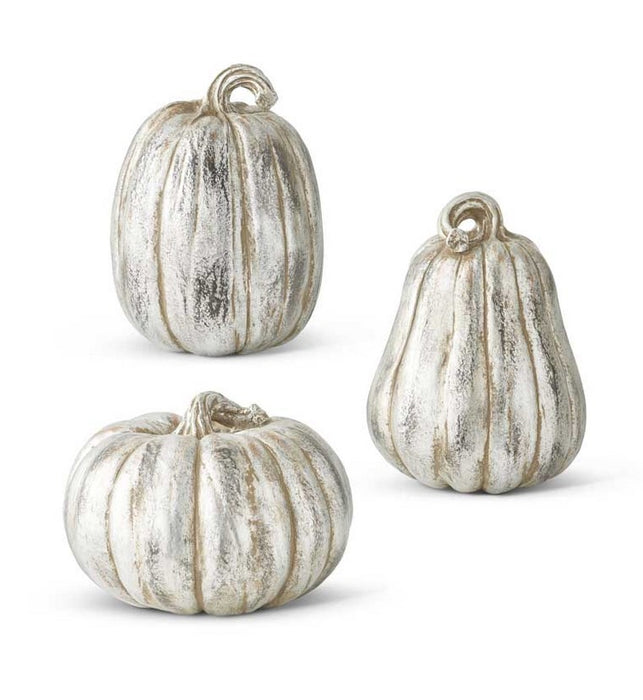 Antique Silver Resin Pumpkins (Grad Sizes)- 4 Options