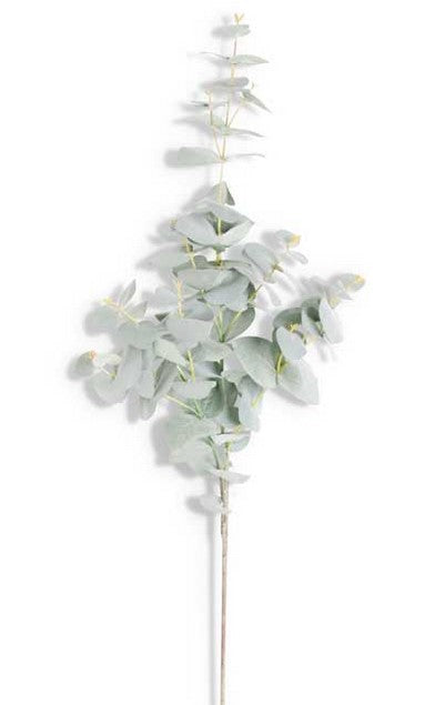 Powdered Eucalyptus Spray - 2 Styles