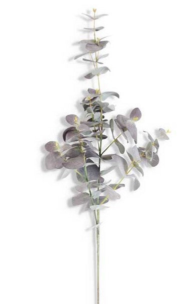 Powdered Eucalyptus Spray - 2 Styles