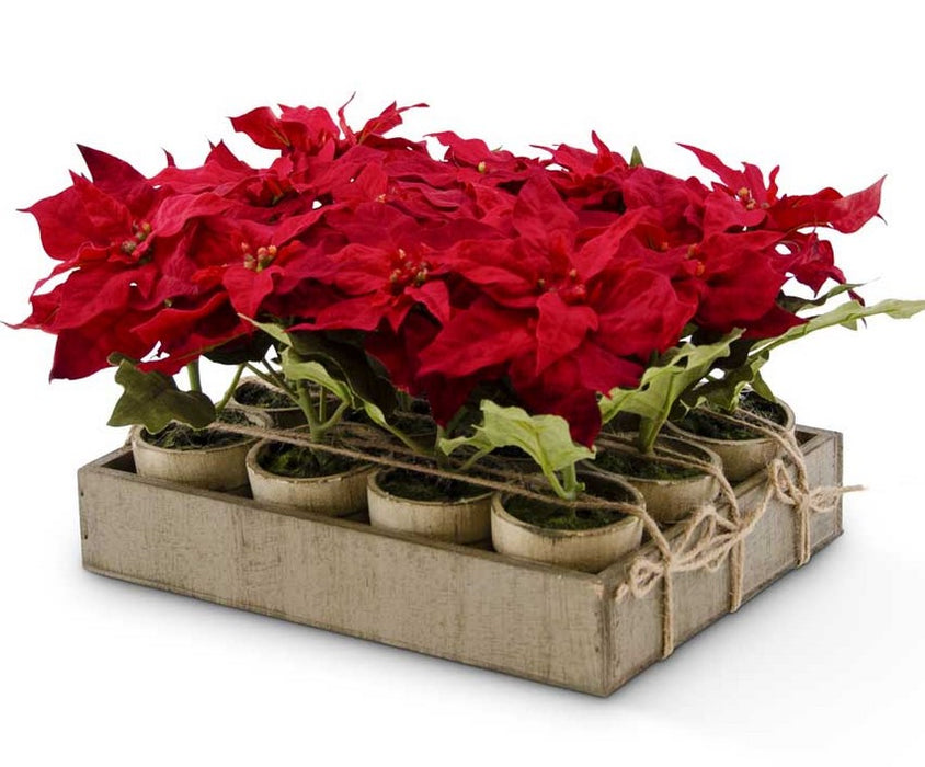 Potted Red Poinsettia