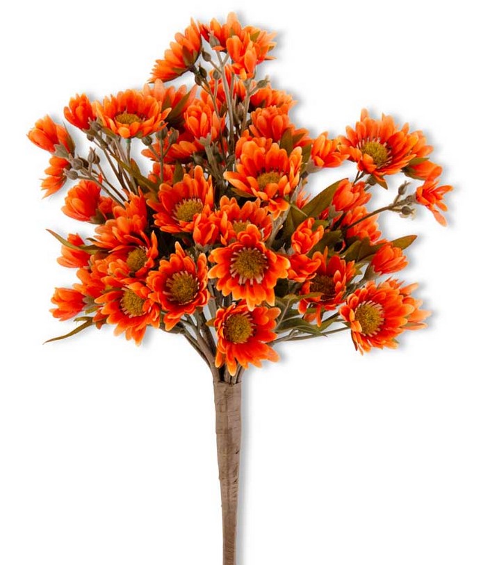 Orange Mum Bush
