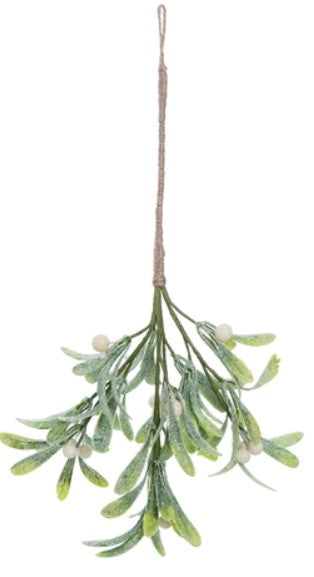 Hanging Mistletoe