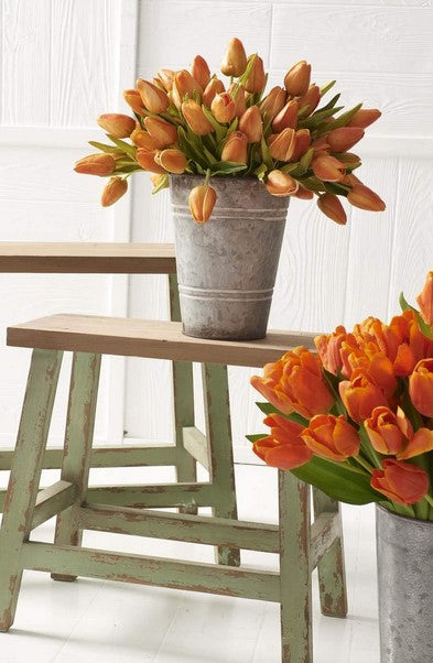 Real Touch Potted Tulip Bundle