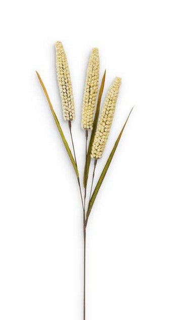 Cream Rice Spray -30"