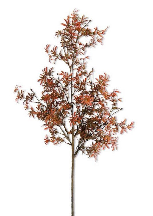 Fall Japanese Maple Stem - 30"