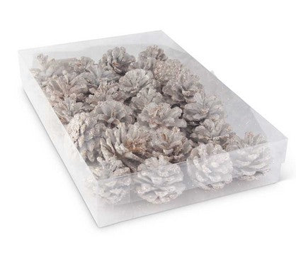 White Glitter Pinecones - Box of 24