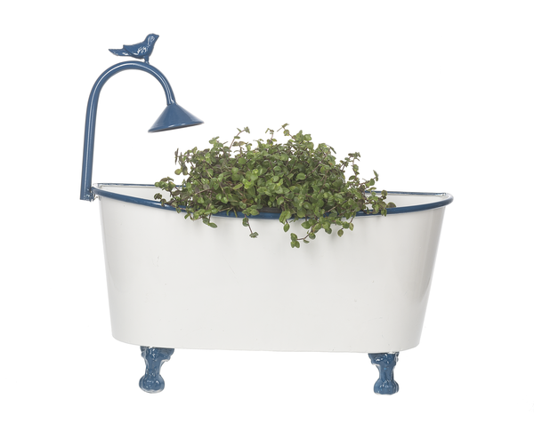 Wall Mounted Blue & White Enamel Tub Planter with Bird