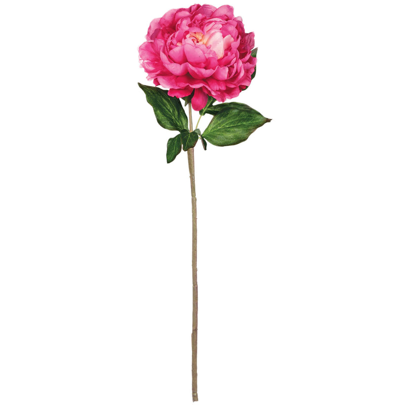 Peony Stem - 2 Options