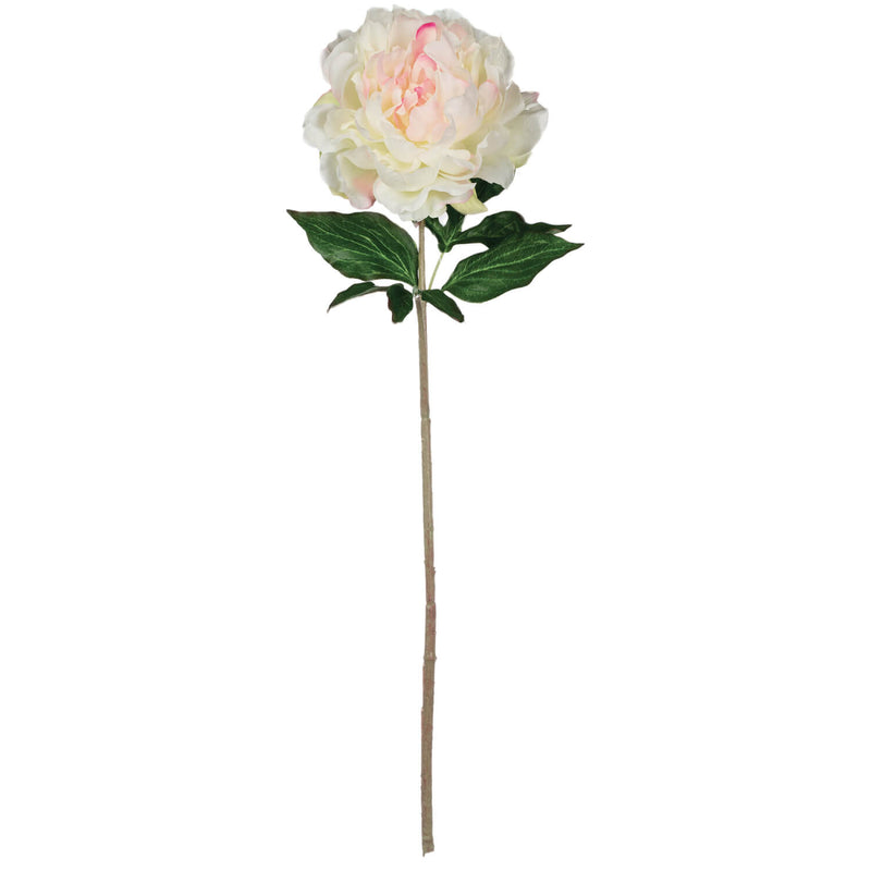 Peony Stem - 2 Options