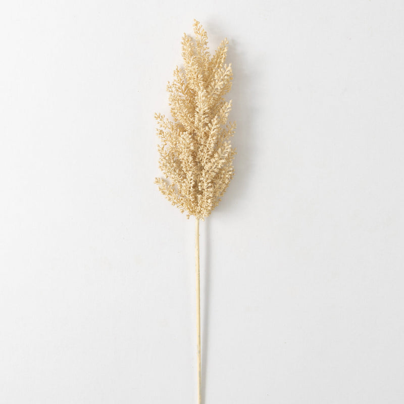 Cream Astilbe Stem