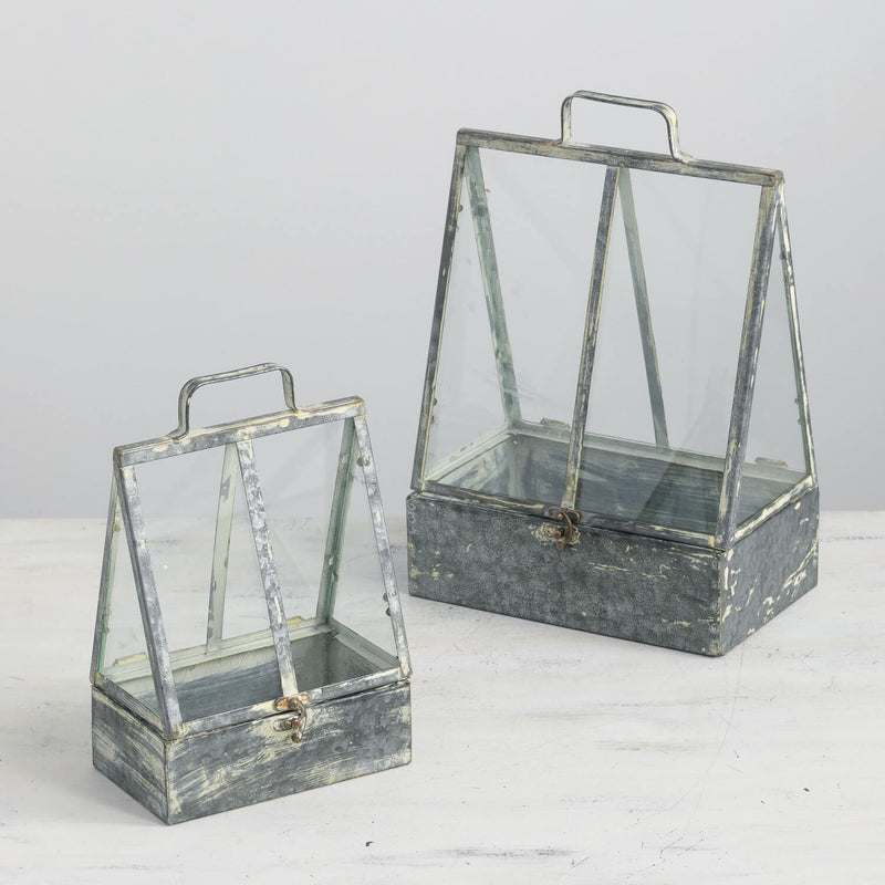 Metal Frame Terrarium - 3 Options